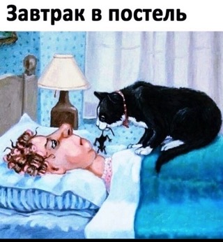 A2FA6E6C-0239-4E34-9D94-C5E7C68C6F4B.jpeg