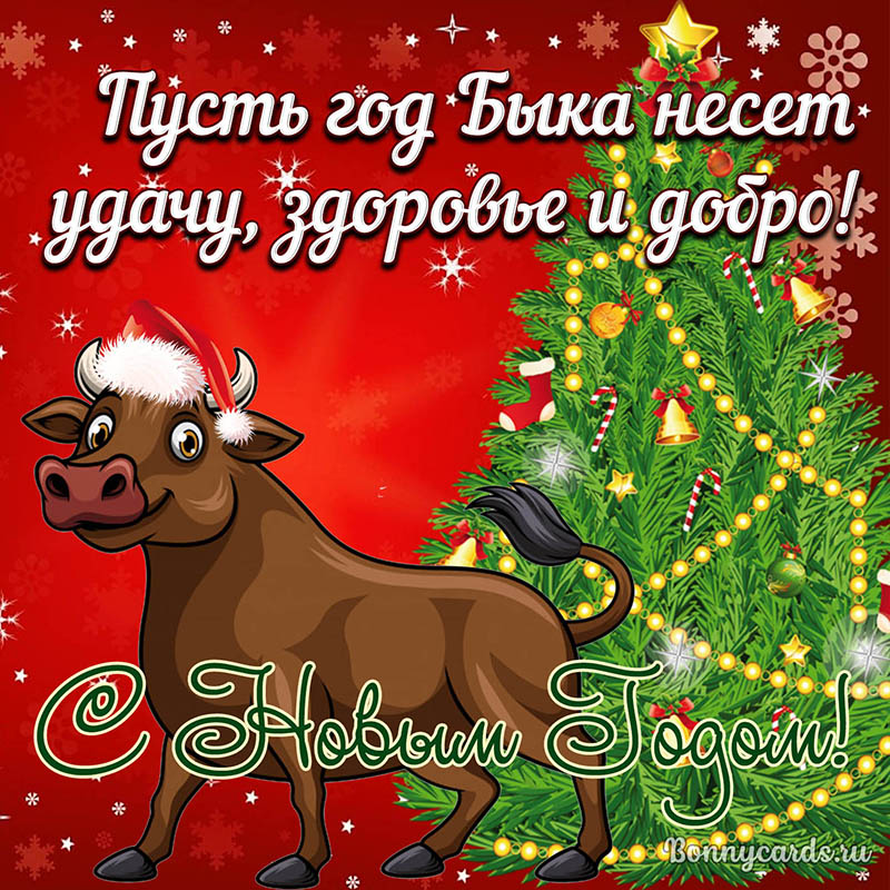 newyear0116.jpg
