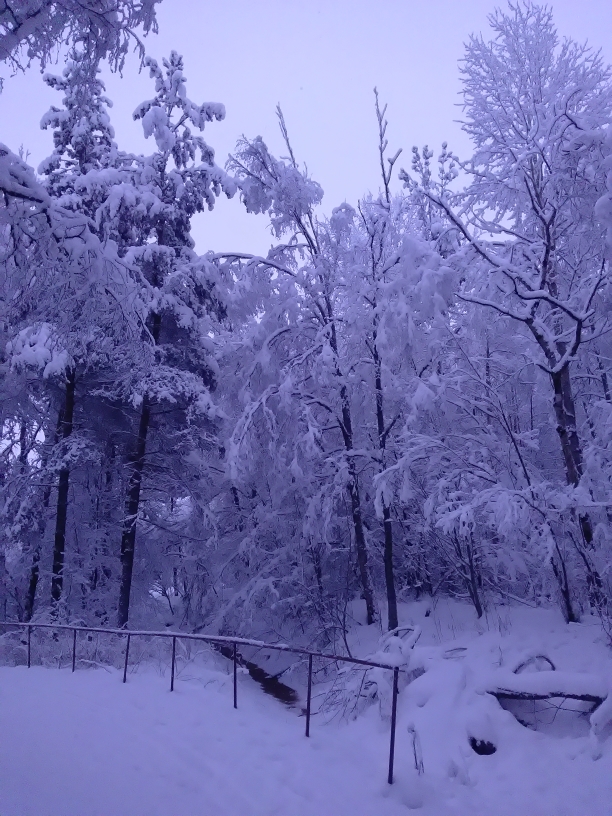 P_20210117_151139.jpg