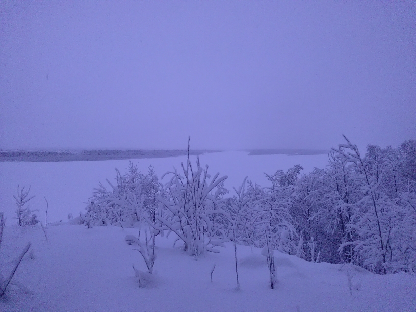 P_20210117_151442.jpg