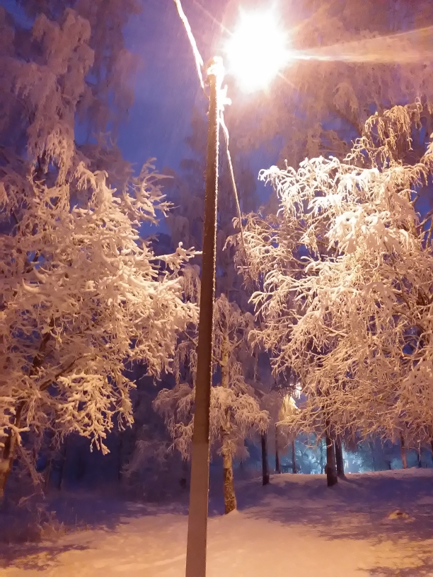 P_20210117_162053.jpg
