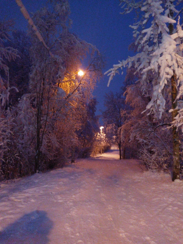 P_20210117_162416.jpg