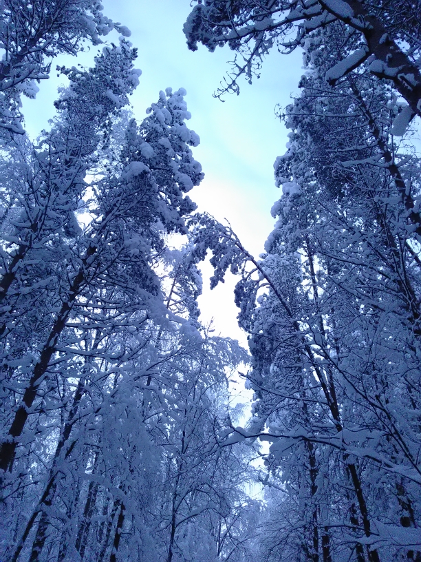 P_20210119_100557.jpg