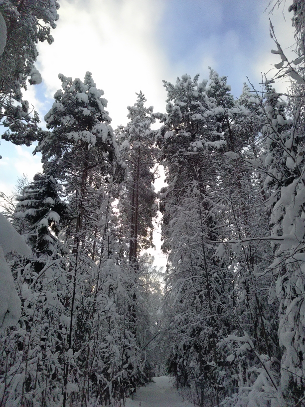 P_20210119_110712.jpg