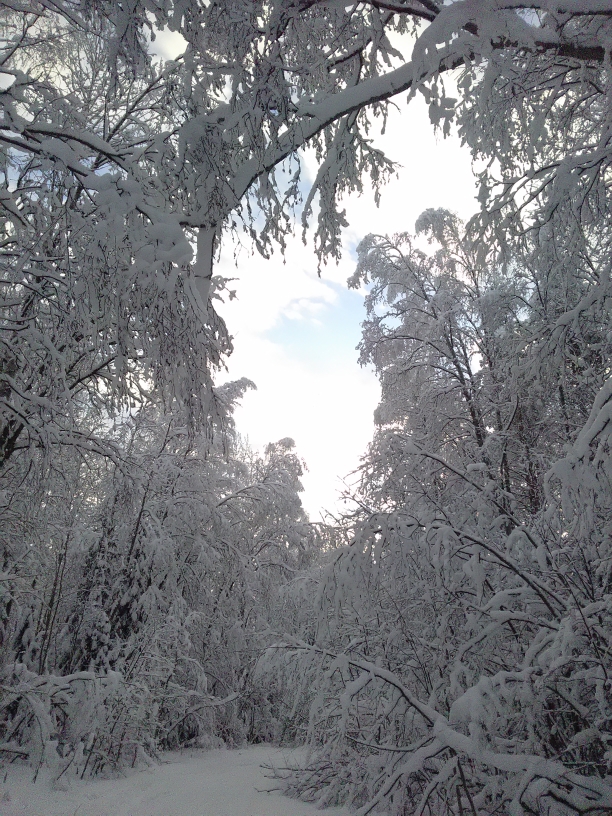 P_20210119_110938.jpg
