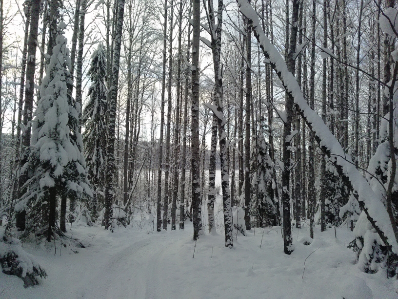P_20210119_113138.jpg