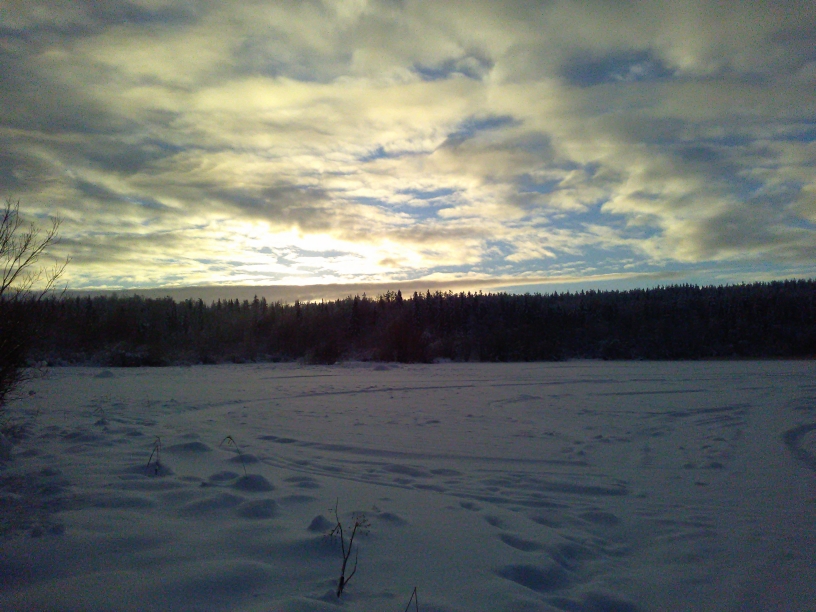P_20210119_113259.jpg