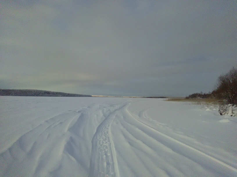 P_20210119_113435.jpg