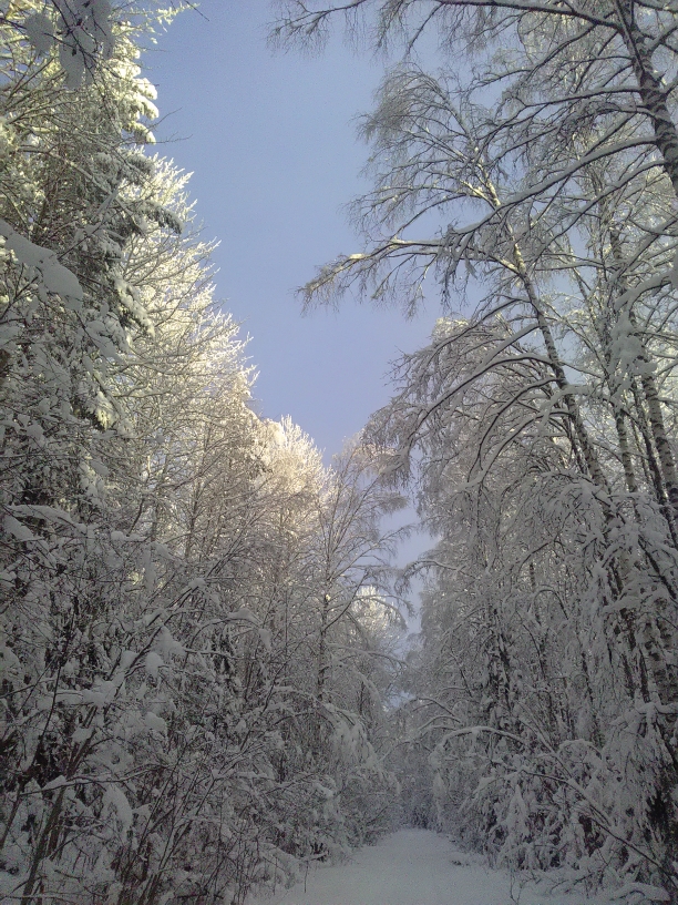 P_20210119_115927.jpg