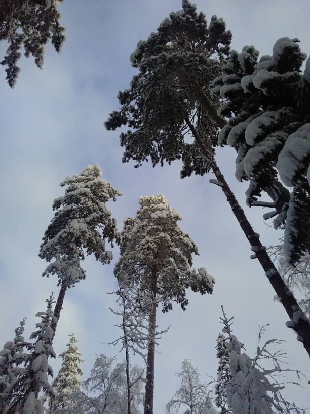 P_20210119_120639.jpg