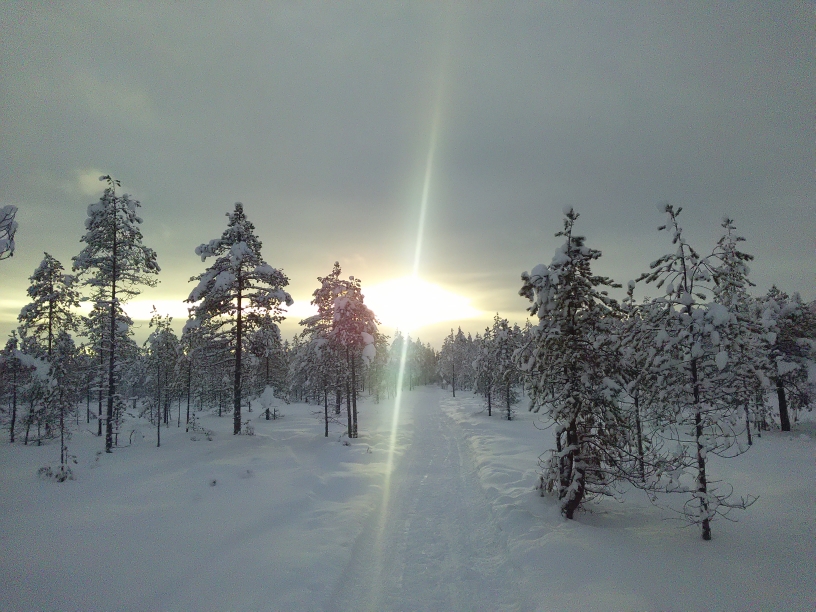 P_20210119_122754.jpg