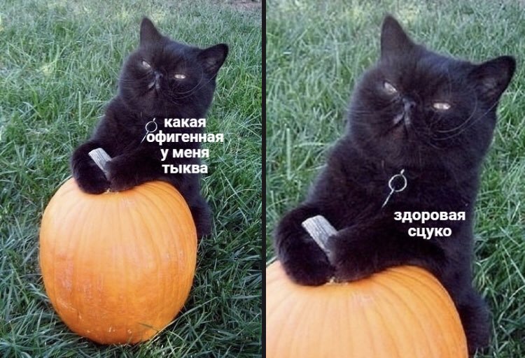 EF0mY7tXYAEiUEM.jpg