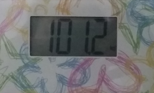 29.01.jpg