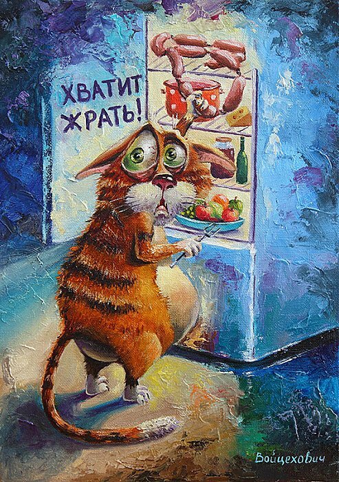 котхол.jpg