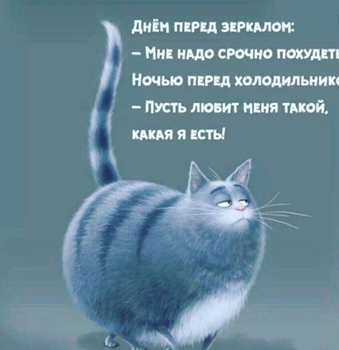 1028418D-9501-4818-8E7C-4CB0C94F5FA6.jpeg