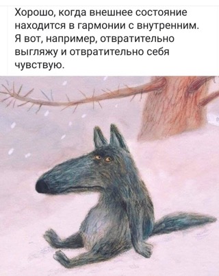 991F92D1-64A7-4372-A38A-84C0E01921FA.jpeg