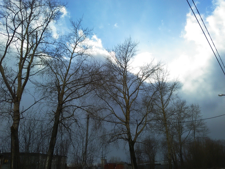 P_20210409_152832.jpg