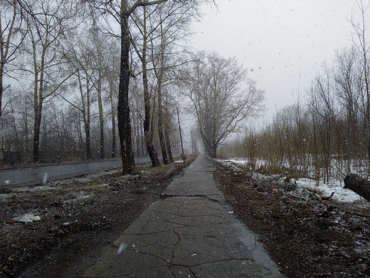 P_20210409_155610.jpg