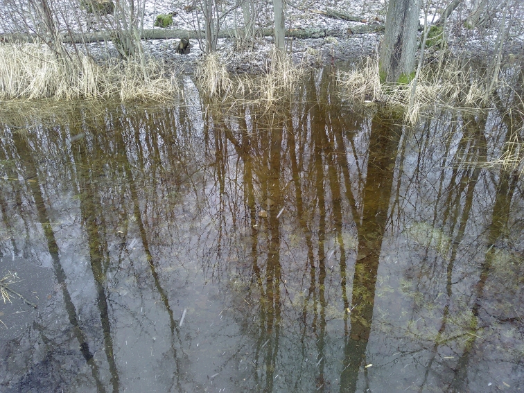 P_20210409_160851.jpg