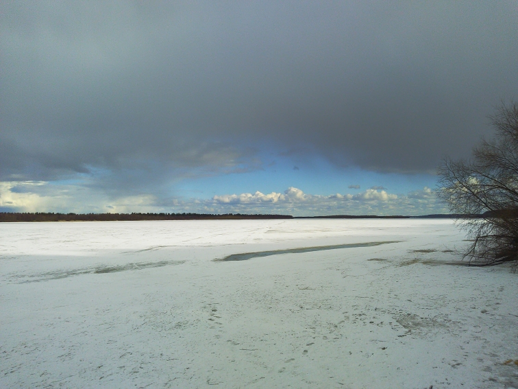 P_20210409_162614.jpg