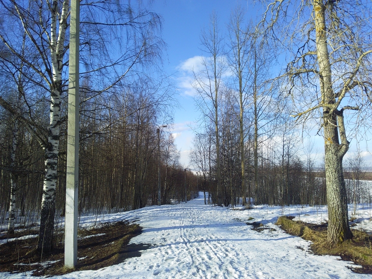 P_20210409_163827.jpg