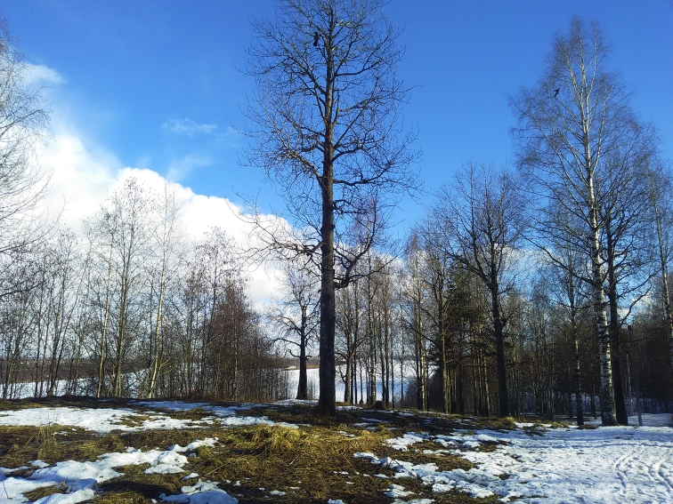 P_20210409_163950.jpg