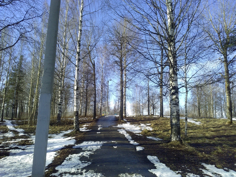 P_20210409_164120.jpg