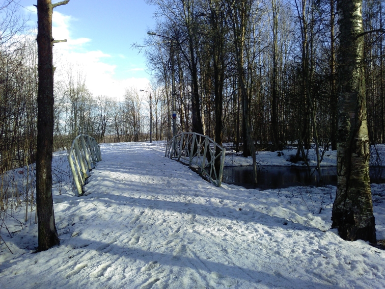 P_20210409_164547.jpg