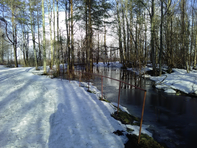 P_20210409_164751.jpg