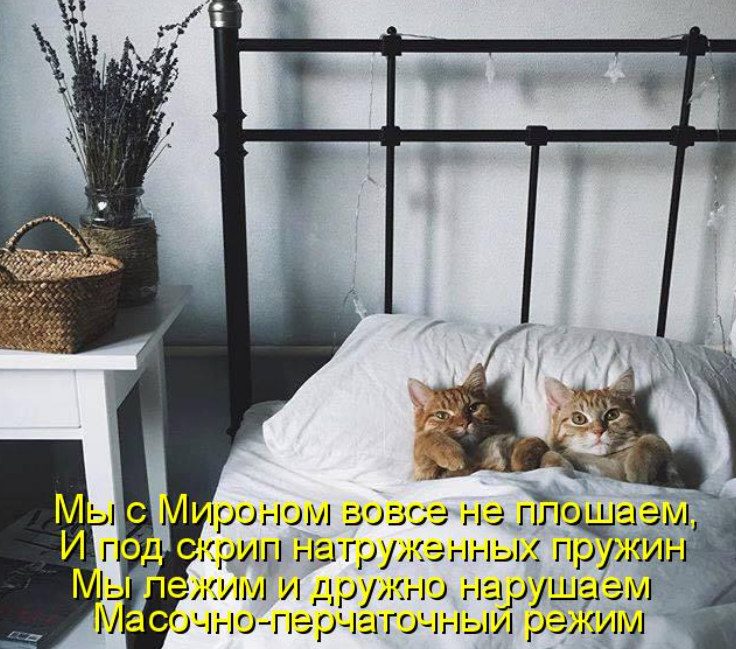 м.png