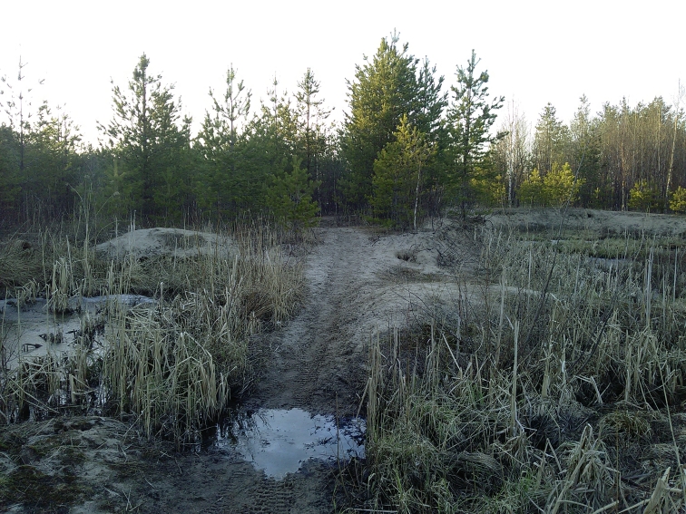 P_20210418_185532.jpg