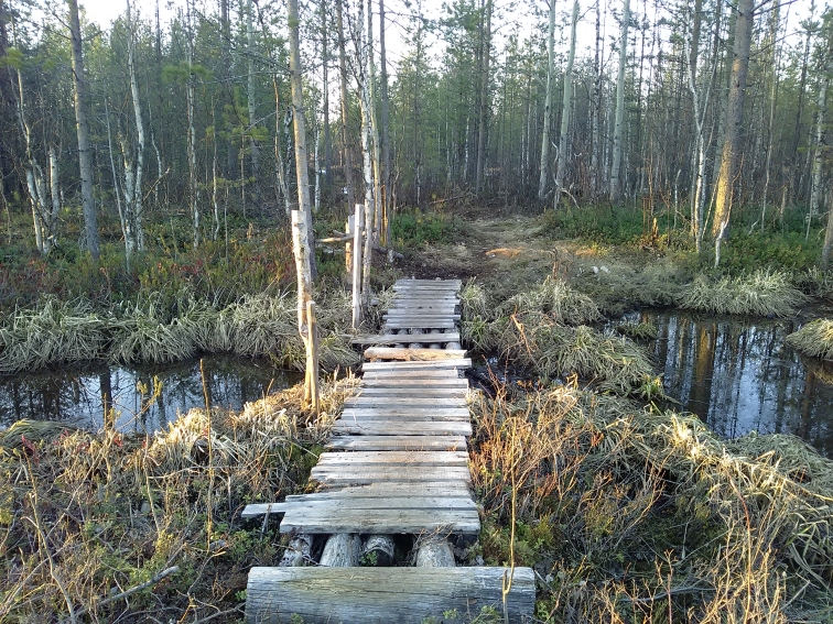 P_20210418_192240.jpg