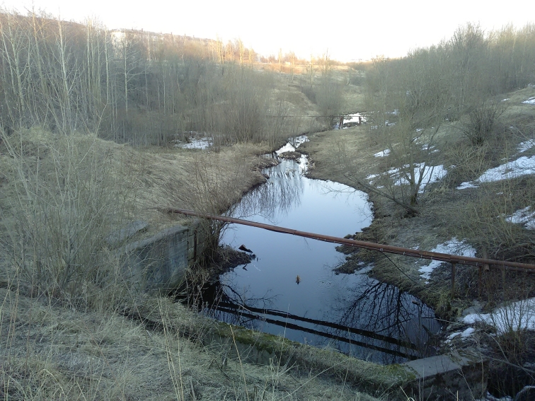P_20210418_193651.jpg
