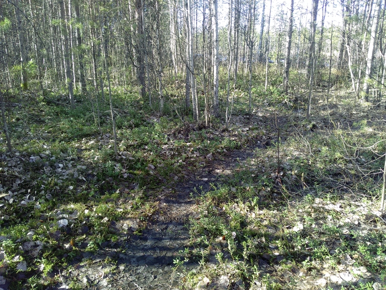 P_20210420_153813.jpg
