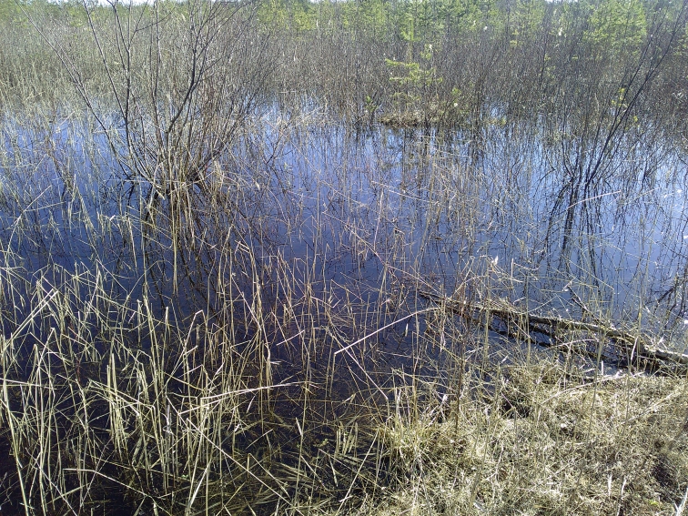 P_20210420_154155.jpg
