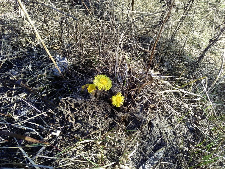 P_20210420_154828.jpg