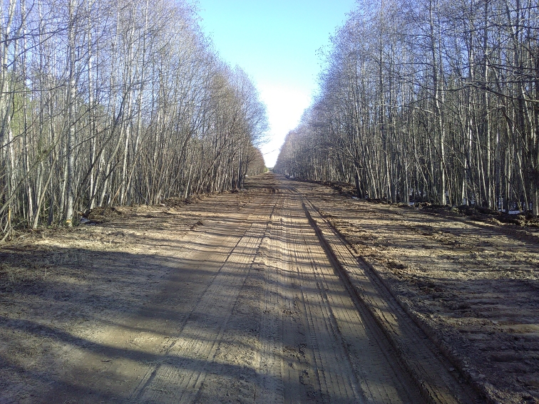 P_20210420_163607.jpg