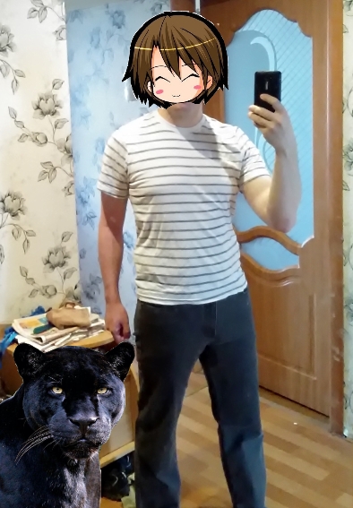 7072706.jpg