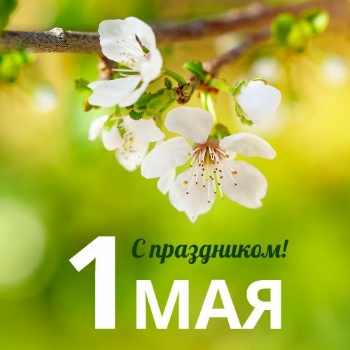 photostudio_1619850323707.jpg