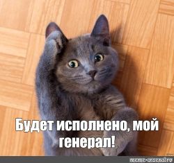 8184a9528773710aeb48dc29f3720334.jpg