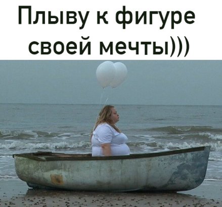 plyvu.jpg