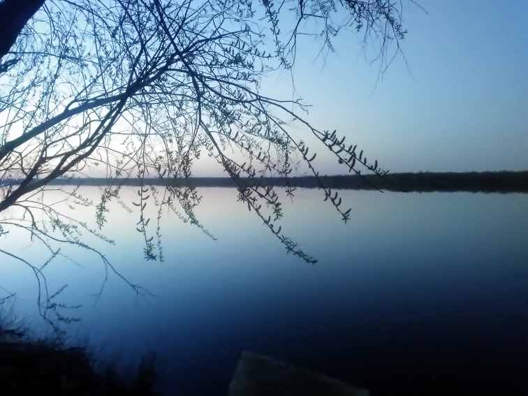 P_20210512_223720.jpg