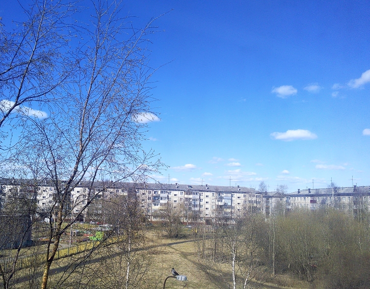 P_20210510_102436.jpg