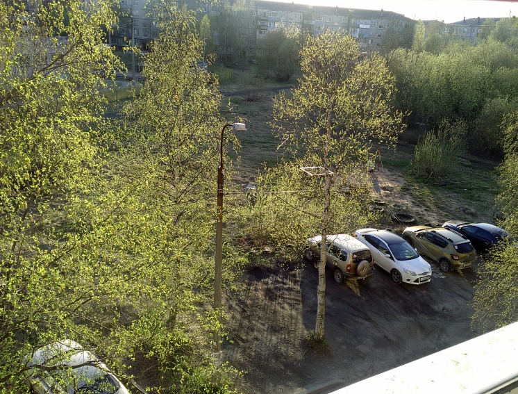 P_20210512_193403.jpg