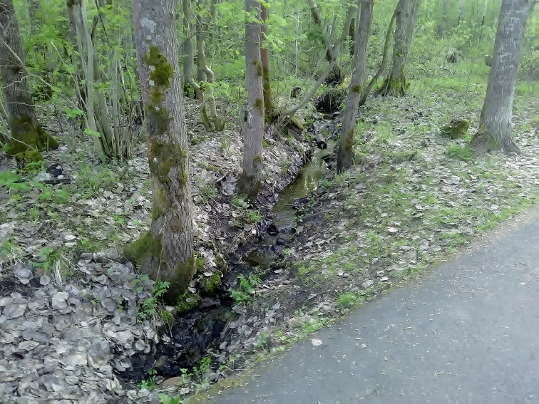 P_20210517_195818.jpg