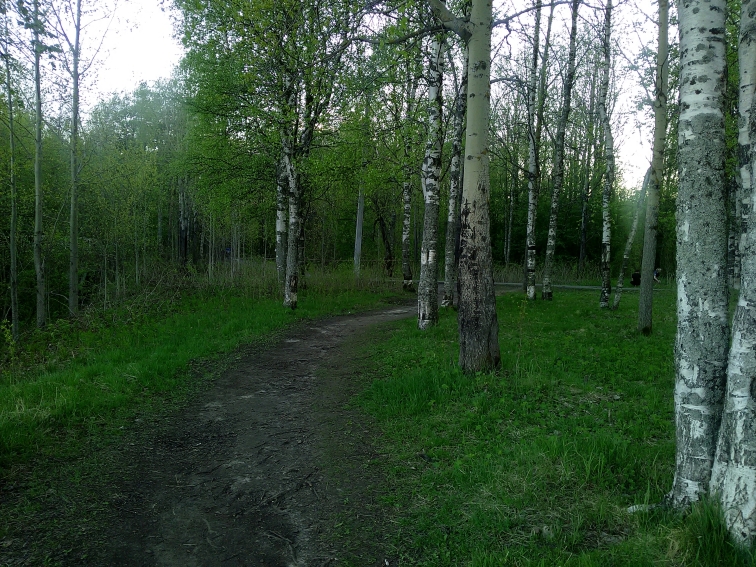 P_20210517_194916.jpg