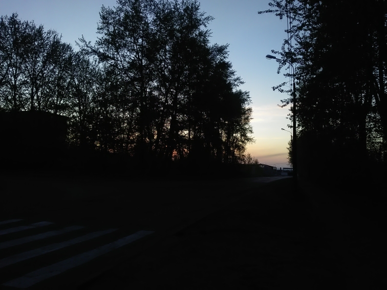 P_20210517_214959.jpg