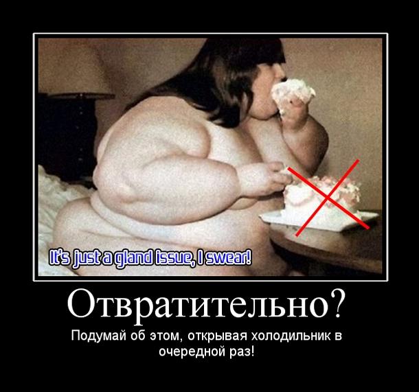 3774d7e3ee15.jpg
