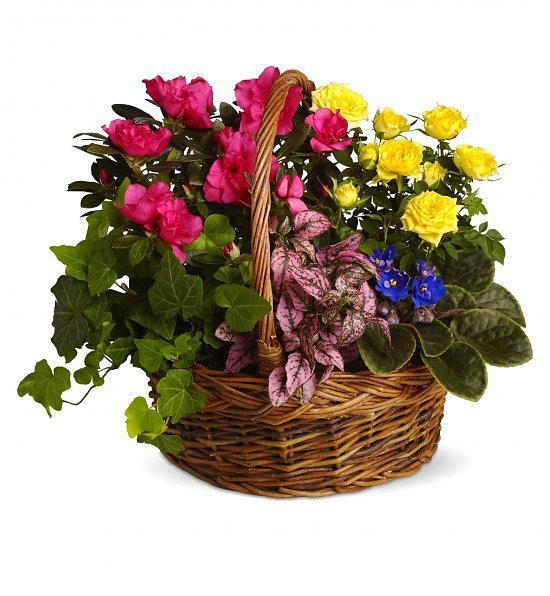корзина с розами.jpg