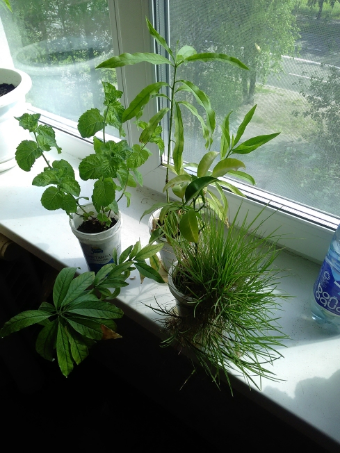 P_20210612_093625.jpg
